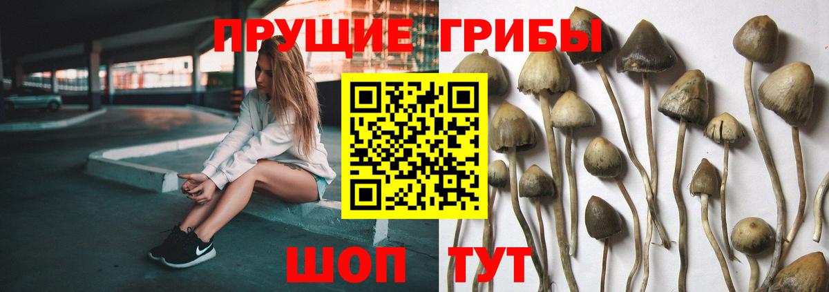 Галлюциногенные грибы мухоморы  Вход с VPN  Усть-Лабинск 